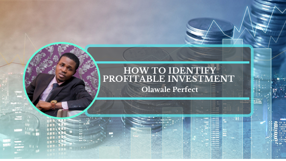 Book Cover: How To Identify Profitable Investment